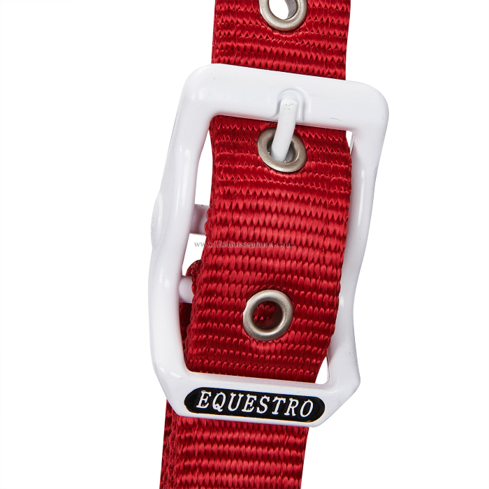 CAVEZZA EQUESTRO NYLON MOD. FLAGGY + LUNGHINA