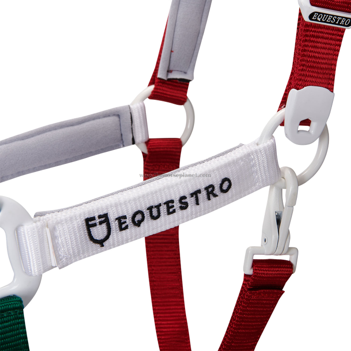 CAVEZZA EQUESTRO NYLON MOD. FLAGGY + LUNGHINA