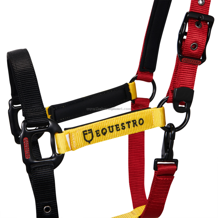 CAVEZZA EQUESTRO NYLON MOD. FLAGGY + LUNGHINA