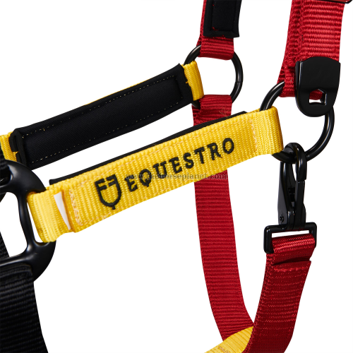 CAVEZZA EQUESTRO NYLON MOD. FLAGGY + LUNGHINA