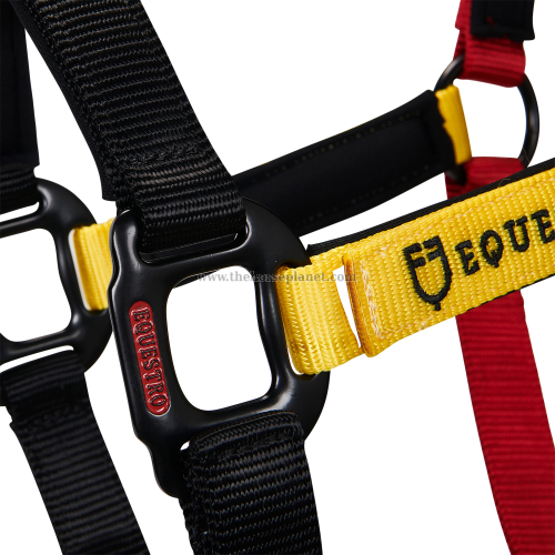 CAVEZZA EQUESTRO NYLON MOD. FLAGGY + LUNGHINA