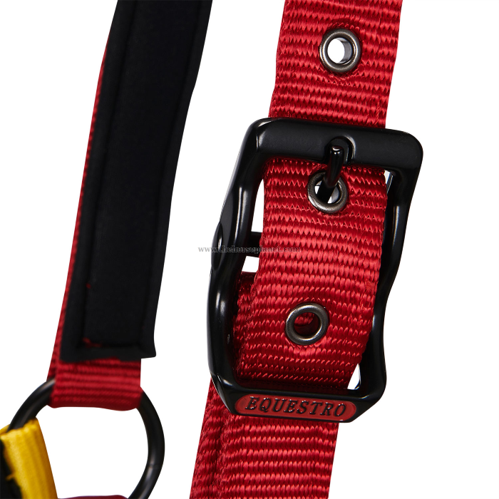 CAVEZZA EQUESTRO NYLON MOD. FLAGGY + LUNGHINA