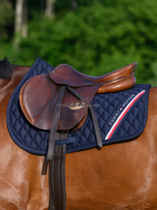 SOTTOSELLA SALTO MOD. STANFORD TOMMY HILFIGER