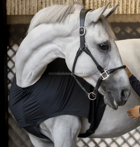 PROTEZIONE PER CRINIERA E SPALLE KINGLAND MITZI FW25