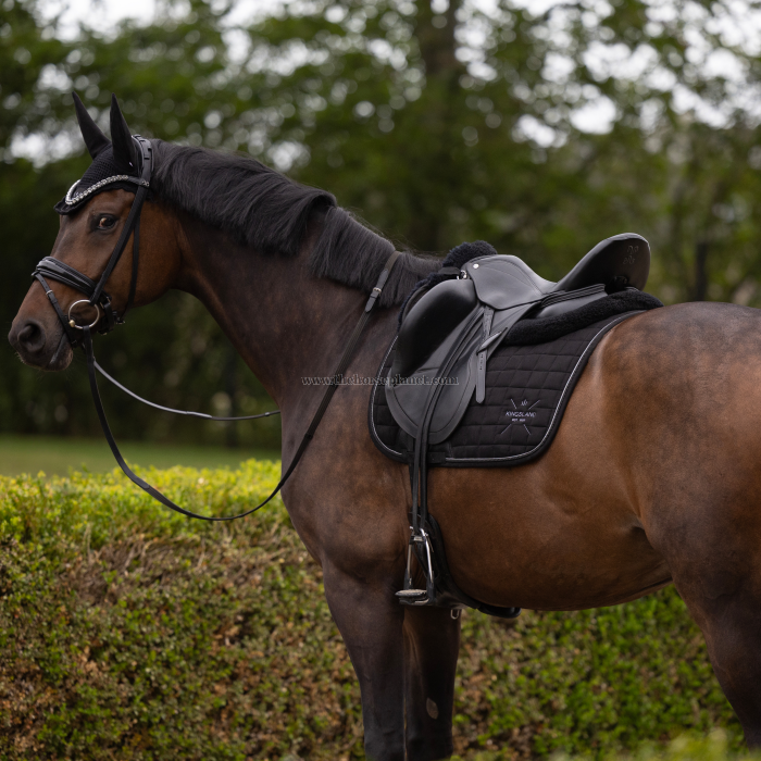 SOTTOSELLA DRESSAGE KINGSLAND MOD. MONA FW25
