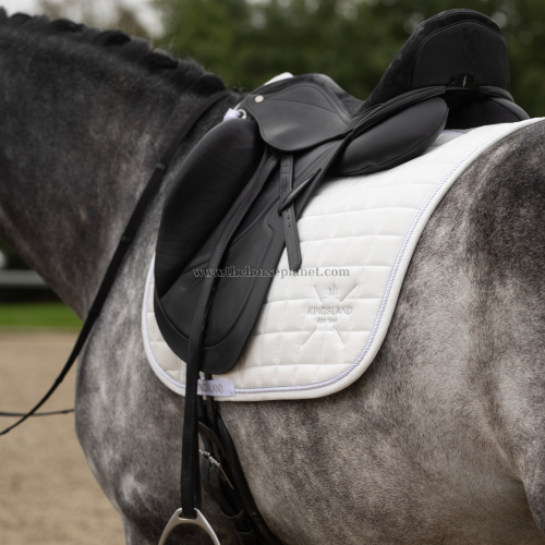 SOTTOSELLA DRESSAGE KINGSLAND MOD. MONA FW25