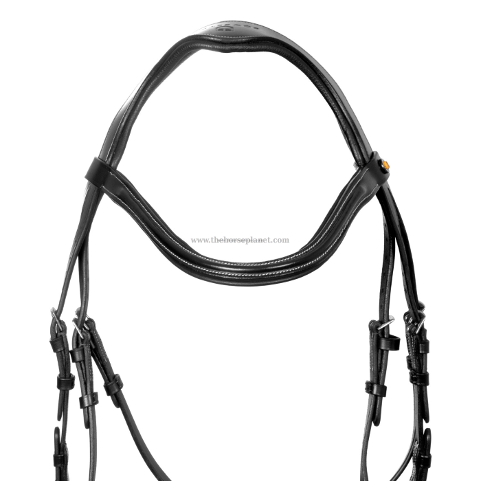 TESTIERA ANATOMICA EQUESTRO CON NASALINA CURVA + REDINI