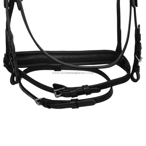 TESITERA EQUESTRO ANATOMICA IN PELLE CON STRASS + REDINI 