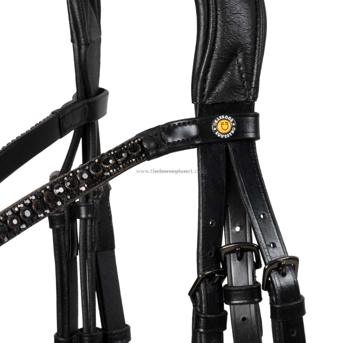 BRIGLIA EQUESTRO IN CUOIO MOD. ELEGANT CON NASALINA BRILLANTINATA