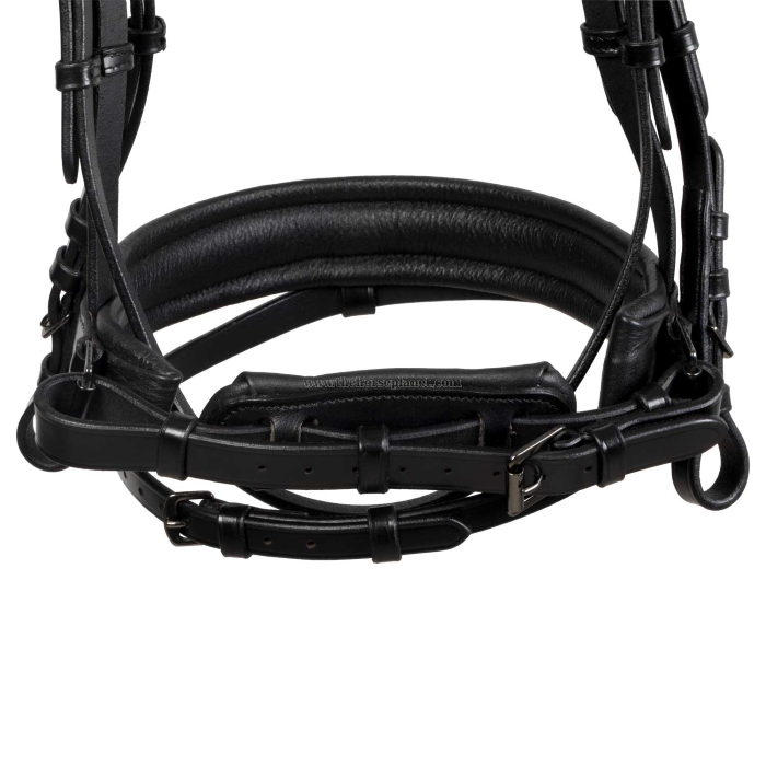 BRIGLIA EQUESTRO IN CUOIO MOD. ELEGANT CON NASALINA BRILLANTINATA