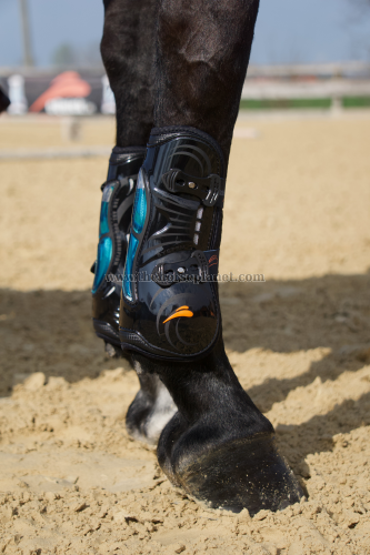 STINCHIERE EQUICK EAIRSHOCK