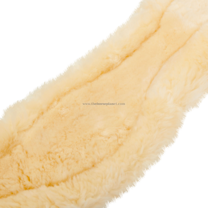 SOTTOPANCIA EQUESTRO DRESSAGE CON MONTONE MODELLO GISELE NEW