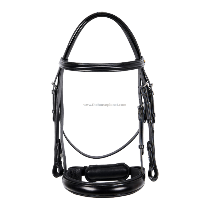 BRIGLIA EQUESTRO DRESSAGE NEW MODEL + REDINI 
