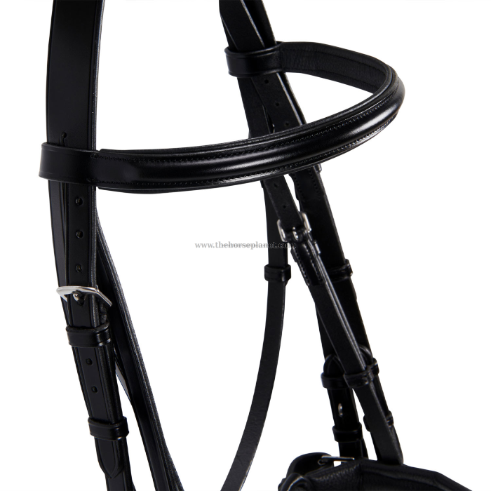 BRIGLIA EQUESTRO DRESSAGE NEW MODEL + REDINI 