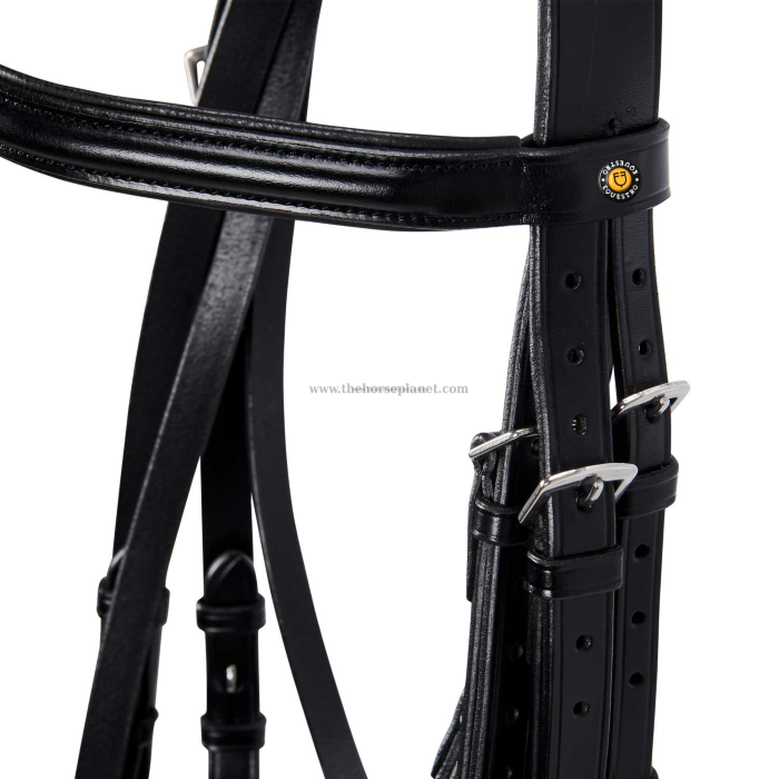 BRIGLIA EQUESTRO DRESSAGE NEW MODEL + REDINI 