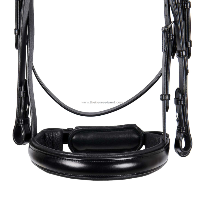 BRIGLIA EQUESTRO DRESSAGE NEW MODEL + REDINI 