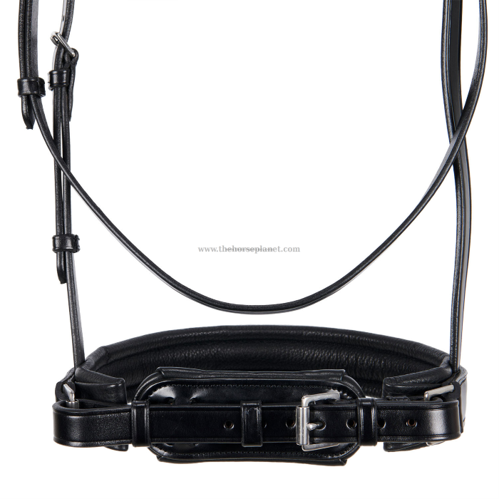 BRIGLIA EQUESTRO DRESSAGE NEW MODEL + REDINI 