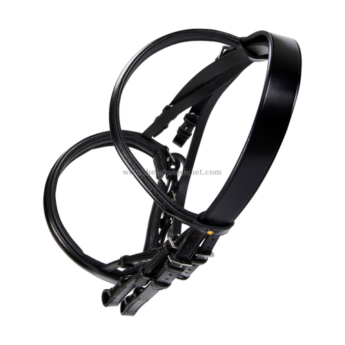 BRIGLIA EQUESTRO DRESSAGE NEW MODEL + REDINI 