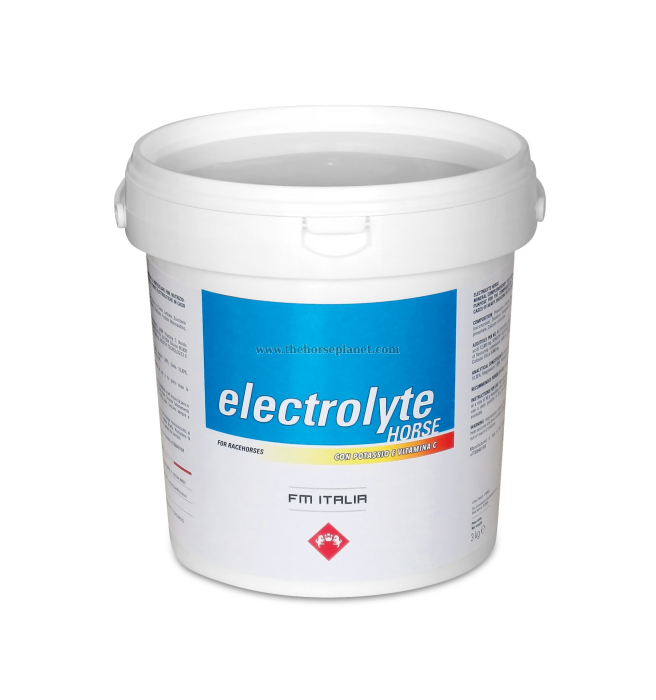 ELECTROLYTE HORSE FM ITALIA  GR 3000
