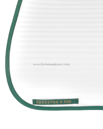 SOTTOSELLA DRESSAGE EQUESTRO X FISE 100