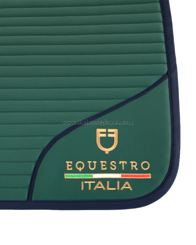 SOTTOSELLA DRESSAGE EQUESTRO X FISE 100