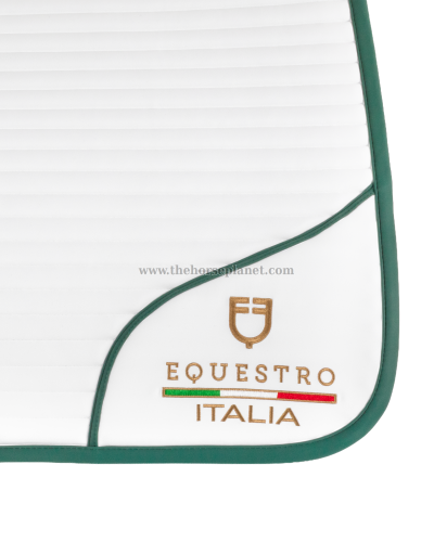 SOTTOSELLA DRESSAGE EQUESTRO X FISE 100