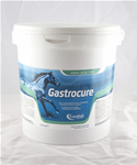 CANDIOLI GASTROCURE CANDIOLI  CAVALLI 2,6 KG 