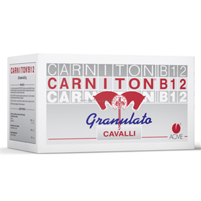 CARNITON B12 20 BUSTE DA 25G