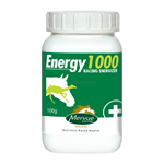 ENERGY 1000 BOOSTER ENERGETICO  GR100