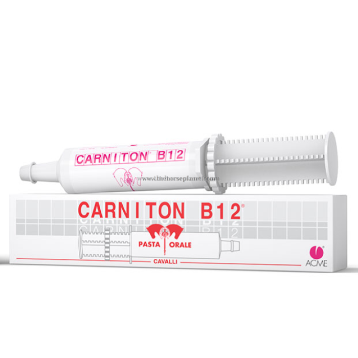 CARNITON B12 PASTA SIRINGA DA 100GR