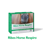 RIBES HORSE RESPIRO 10X25ML