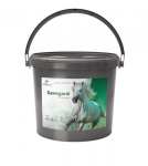 SAVEGARD SECCHIELLO 3KG