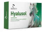 HYALUSOL 10 FIALE 8ML EQUALITY