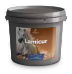 LAMICUR 2KG EQUALITY